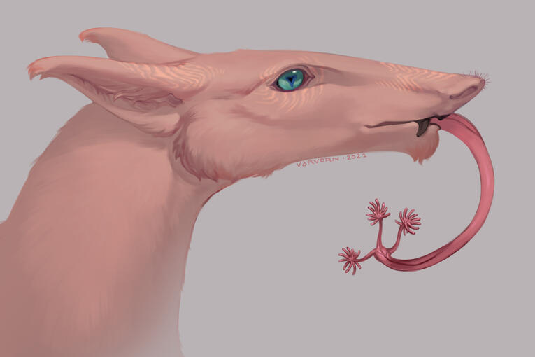 Hybrid Alien (original species)